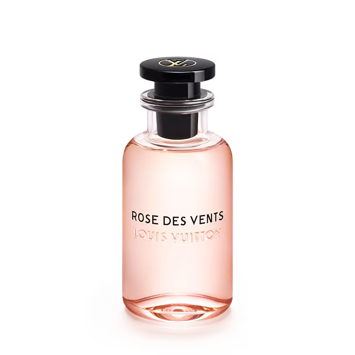 louis vuitton rose des vents LP0005 PM2 Front view
